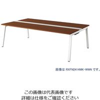 ナイキ 大型ベンチテーブル (基本型) (両面タイプ) RXFN1414K-WWN 1台 208-8696（直送品）