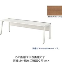 ナイキ 大型ベンチテーブル (基本型) (片面タイプ) RXFN2407K-WH 1台 