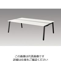 ナイキ 大型ベンチテーブル (基本型) (両面タイプ) RXFN2414K-BH 1台 214-5637（直送品）