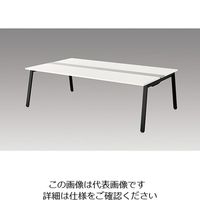 ナイキ 大型ベンチテーブル (基本型) (両面タイプ) RXFN2414K-BH 1台 214-5637（直送品）