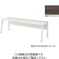 ナイキ 大型ベンチテーブル (基本型) (片面タイプ) RXFN1407K-WWN 1台 214-2432（直送品）