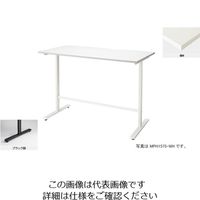 ナイキ 会議用テーブル (矩形・H1000) MPH1275-BH 1台 208-8322（直送品）