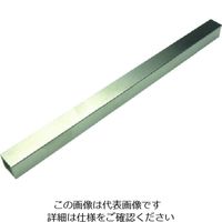 三好キカイ パイジョン SS16300K 1本 207-0570（直送品）