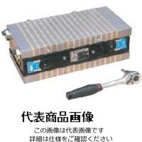 カネテック 強力形両面吸着永磁ブロック RMAー2F1325 1台（直送品）