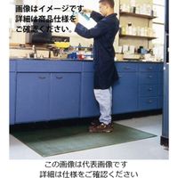 ルドローコンポジッツコーポレーション コンフォートキングアンチミクロバイアル