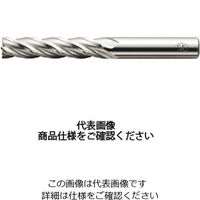 三興製作所（S&K） 4枚刃ロング刃 LVS4T9X60 1本（直送品）