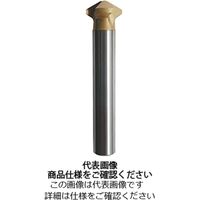 19120-1-12.5（直送品）