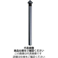 HSSカウンターシンク No.19092ー0 90°3枚刃 HSS ロングシャンク 19092ー0 ー 15.0 19092-0-15.0（直送品）