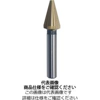 19030-1-31.0（直送品）