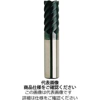 ライノス No.169 ラピード 6枚刃 超硬エンドミル 169 ー 16.0 169-16.0 1個（直送品）