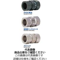 アイセル（ISEL） Nカップ （ステンレスタイプ） N-19-19-S 1個（直送品）