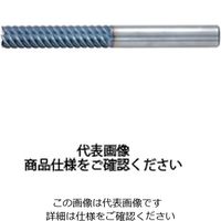 ダイジェット工業 ワンカット盛り刃エンドミル DZーSEPL形 DZーSEPL6200 1個（直送品）