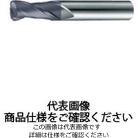 ダイジェット工業 DZコートラジアスエンドミル DZーSEDーR形 DZーSEDー2100ーR0.5 1個（直送品）