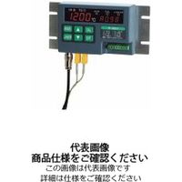 安立計器 放射温度計+接触式温度計［デュアルサーモ］ 設置タイプ R-4602 1台（直送品）