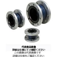 TOZEN タフボーイ 250A タフボ-イ-SS10K-250A 1個（直送品）