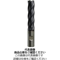 メイケスタッグ HSS-Coエンドミル No.TAL51AHR （2087） ファインピッチラフィングエンド