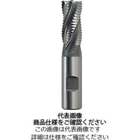 メイケスタッグ HSSーCoエンドミル No.51 (2026) HSSーCo ラフィングエンドミル ショート 51 ー 23 51-23（直送品）