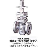 テイエルブイ COSRー16 蒸気用 減圧弁 150A 1台（直送品）