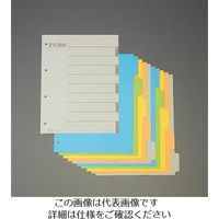 エスコ A4S型 カラーインデックス(再生紙/5色入) EA762CS-11 1セット(300枚:10枚×30冊)（直送品）