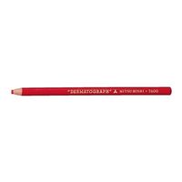 エスコ 油性色鉛筆(12本/赤) EA765MD-21 1セット(48本:12本×4箱)（直送品）