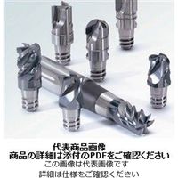 超硬ソリッド交換式チャンファーリングツール（表、裏面取り） CPM190-1600Z06-F0200-10-HP338（直送品）