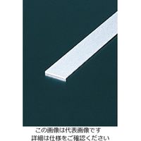 エヌアイシ・オートテック フラットバー 23mm AFFBー02502ー23 1セット(1000本)（直送品）