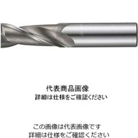 日進工具 NS 無限コーティング 2枚刃EM MSE230 Φ0.3X0.6 0.3X0.6