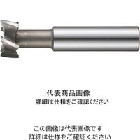 フクダ精工 Tスロットエンドミル TSE 55x20 1本（直送品）