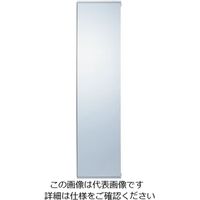 カクダイ 化粧鏡 207ー500 207-500 1個（直送品）