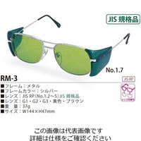 w RM-3ՌJISRPXyAY No.1.2 RM-3JISRP 1Zbg(5)iij
