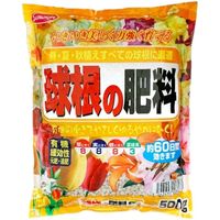 TAhz[v ̔엿 500g 4543693006073 1iij