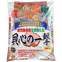 サンアンドホープ 天然貝化石 貝心の一撃 5kg 4543693012555 1個（直送品）