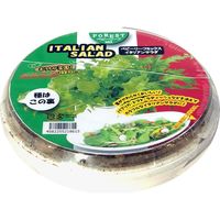 フォレスト ベビーリーフ イタリアンサラダ 1セット入 4582255218615 1個（直送品）