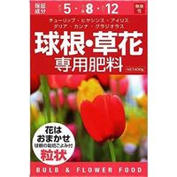 アミノール化学研究所 球根草花専用肥料　400g 4906225010137 1個（直送品）