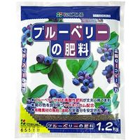 花ごころ 花　ブルーベリーの肥料　1.2kg 4977445053501 1個（直送品）