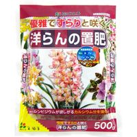 花ごころ 洋ランの置肥 500g 4977445055307 1個（直送品）