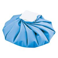 アズワン ナビアイスバッグ ブルー L 8-1218-13 1個（直送品）