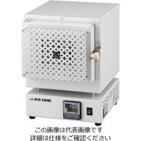 アズワン エコノミー電気炉 窓付き プログラム機能有 ROP-001PW 1個 4-2154-02（直送品）