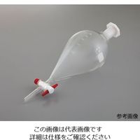 柴田科学 SPC分液ロート スキーブ形 PTFEコック付 300mL 030220-19300