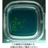 極東製薬工業 DDチェッカー（細菌検出用培地） TCBS寒天培地 腸炎ビブリオ検出用 4261 1箱（100枚） 4-1250-04（直送品）