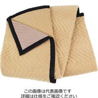 藤原産業 E-Value 養生マット SCM