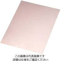 アズワン ニッケル箔 0.1mm 1巻入 4-1591-04 1巻（直送品）