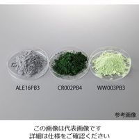 高純度化学研究所 元素粉末材料 炭化硼素 500g BBI10PB4 1パック 4-2482-10（直送品）