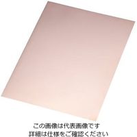 アズワン 銅箔 0.5mm 10枚入 4-1593-05 1袋(10枚)（直送品）