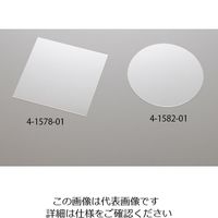 アズワン 薄板ガラス イーグルXG（R） 100×100×0.3mm 10枚入 1箱（10枚） 4-1579-01（直送品）