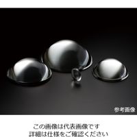 レックス（REX） 非球面レンズ 12mm 12C17 1枚 4-1826-05（直送品）