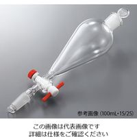 アズワン 分液ロート(下部摺合タイプ) 250mL 15/25 250-1525-1525 1個 4-436-16（直送品）