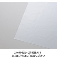 不燃透明ターポリン プライキャンバス 不燃高透光タイプ 1150mm×0.27mm×10m G-1025CL-10m 4-2006-02（直送品）