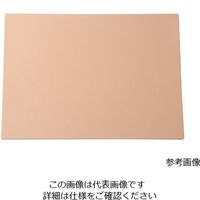 ビューラックス バイオスキンプレート A4サイズ ウレタン Rough H077-002#50 1枚 4-1492-06（直送品）