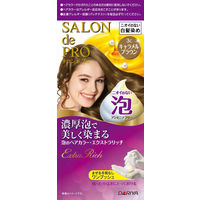 ダリヤ サロンドプロ 泡のヘアカラー・エクストラリッチ（白髪用）3C＜キャラメルブラウン＞ 4904651182398 1セット（3セット）（直送品）